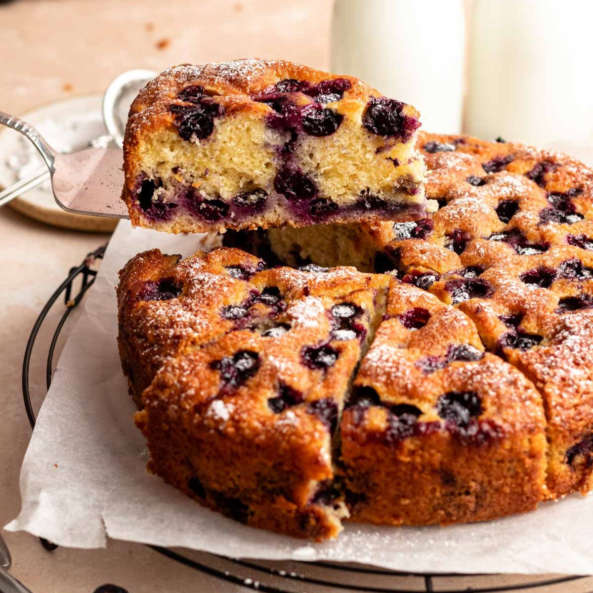 Blueberry Travel Cake